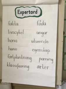 expord